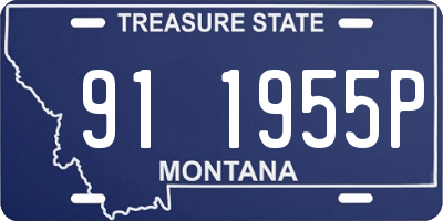 MT license plate 911955P