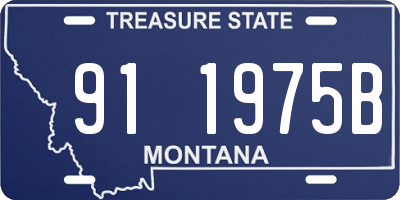 MT license plate 911975B