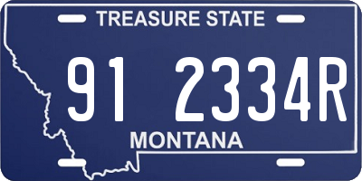 MT license plate 912334R