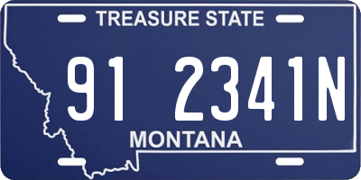 MT license plate 912341N
