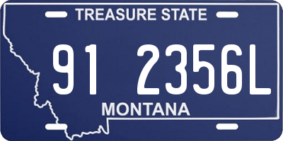 MT license plate 912356L
