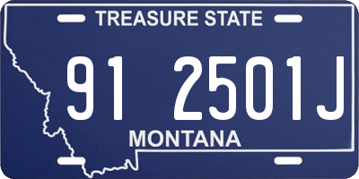 MT license plate 912501J