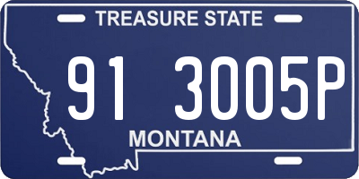 MT license plate 913005P