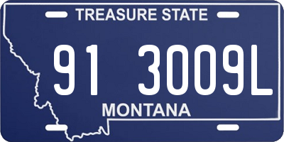 MT license plate 913009L