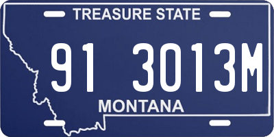 MT license plate 913013M