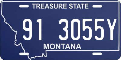 MT license plate 913055Y