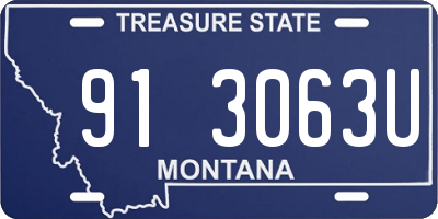 MT license plate 913063U