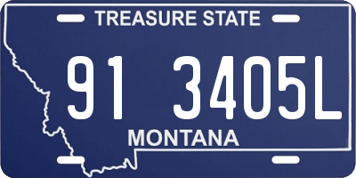 MT license plate 913405L