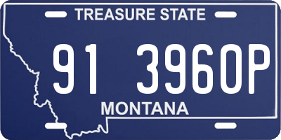 MT license plate 913960P