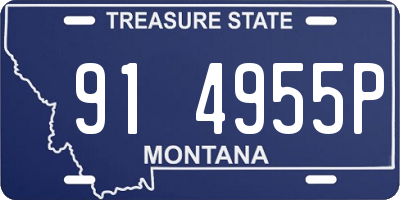 MT license plate 914955P