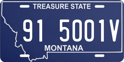 MT license plate 915001V