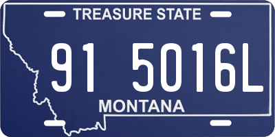 MT license plate 915016L