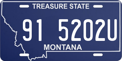 MT license plate 915202U
