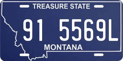 MT license plate 915569L