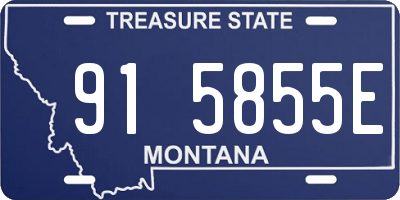 MT license plate 915855E