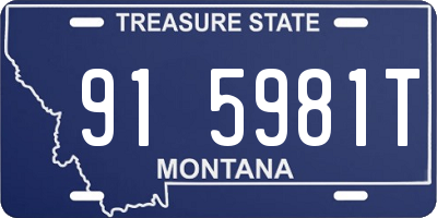 MT license plate 915981T