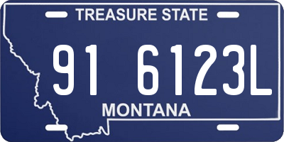 MT license plate 916123L