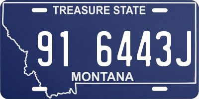 MT license plate 916443J