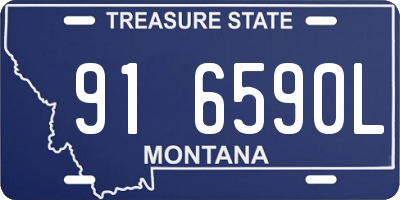 MT license plate 916590L