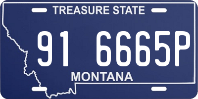 MT license plate 916665P