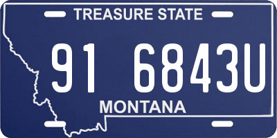 MT license plate 916843U