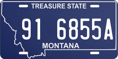 MT license plate 916855A