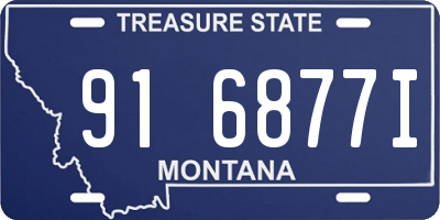 MT license plate 916877I