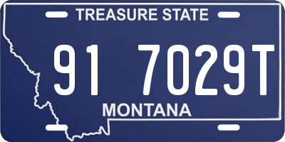 MT license plate 917029T