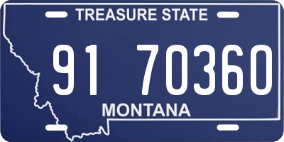 MT license plate 917036O