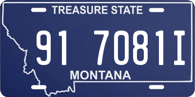 MT license plate 917081I
