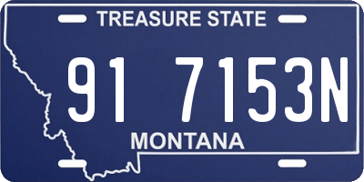 MT license plate 917153N