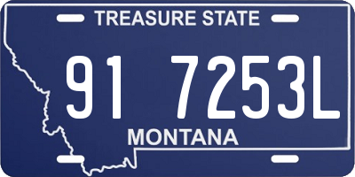 MT license plate 917253L