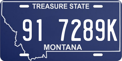 MT license plate 917289K
