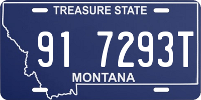 MT license plate 917293T