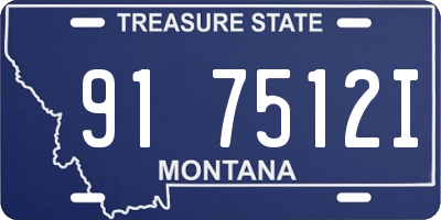 MT license plate 917512I