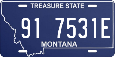 MT license plate 917531E