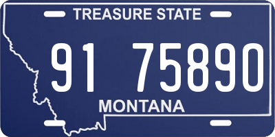 MT license plate 917589O