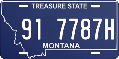 MT license plate 917787H