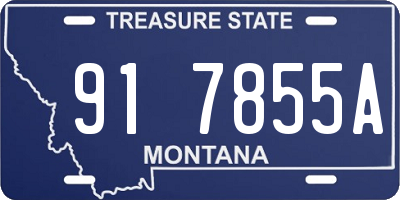 MT license plate 917855A