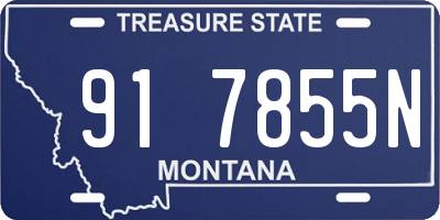 MT license plate 917855N