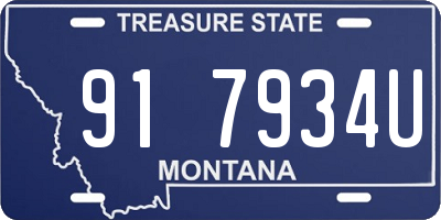 MT license plate 917934U