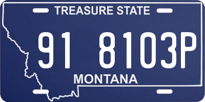 MT license plate 918103P