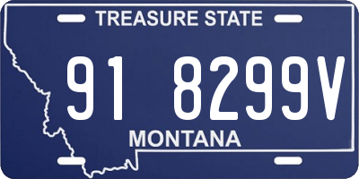 MT license plate 918299V