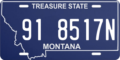 MT license plate 918517N