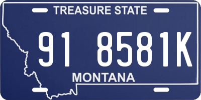 MT license plate 918581K