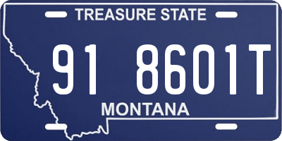 MT license plate 918601T