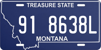 MT license plate 918638L