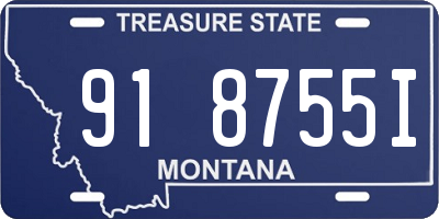 MT license plate 918755I
