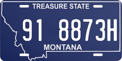 MT license plate 918873H