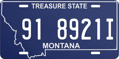MT license plate 918921I